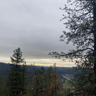 1.246🎵Linger cover