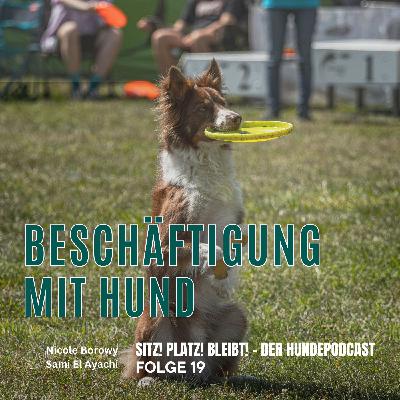 #19 Beschäftigungsarten für Hunde
