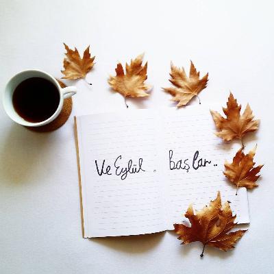 Eylül Ayı/İdeolojisini Araba Camına Yansıtan Kişi / Yeni Yayın Dönemi # 47