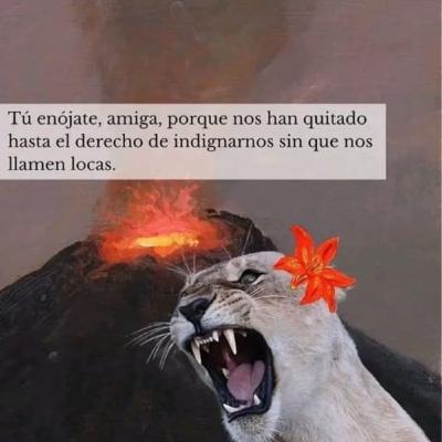 Pensar desde el enojo es No es pensar....