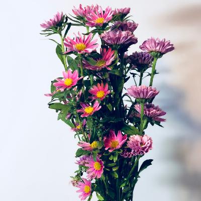 157 如何解决男女间“沟而不通”的亲密关系