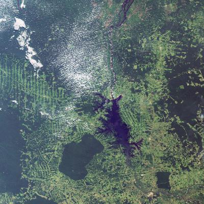 Prêmio MapBiomas abre inscrições para trabalhos com dados sobre uso do solo