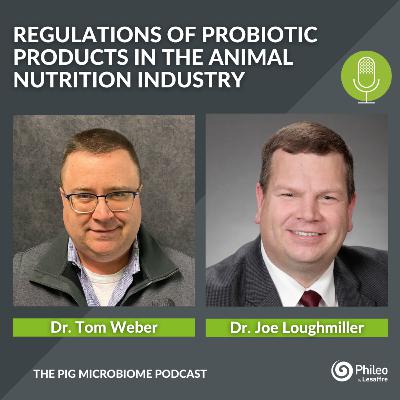 #SHORTS: Regulation of probiotic products in the animal nutrition industry