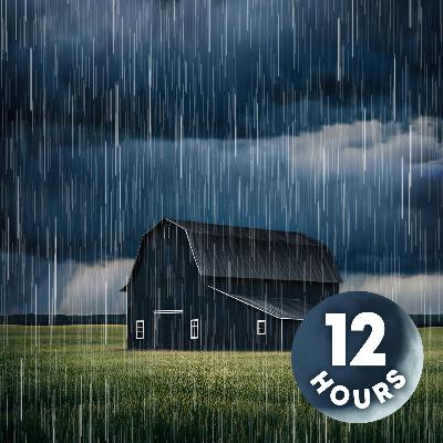 Sounds of Heavy Rainfall on Barn Roof 12-Hours | Feel Truly Immersed