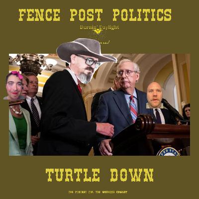 Fence Post Politics: Turtle Down