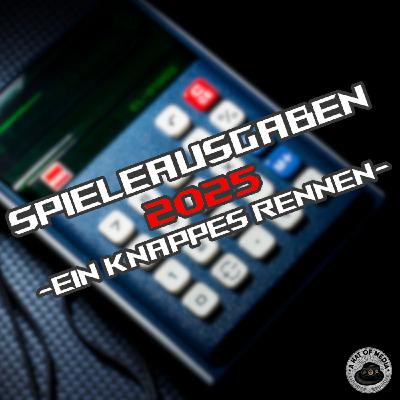 Videospielausgaben 2025 - Mehr kaufen als spielen?