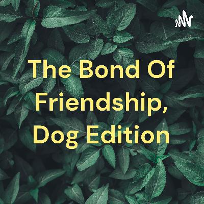 Bond if Friendship..remember what is important