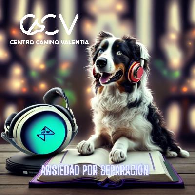 Domina la Ansiedad por Separación Canina: Consejos para el Bienestar Canino