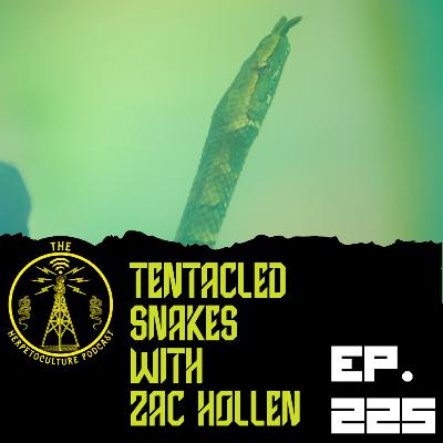 Tentacled Snakes with Zac Hollen | THP Ep. 225