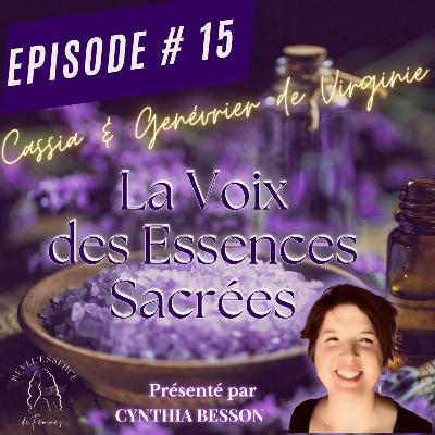 Activer la confiance en soi avec Cassia & Genévrier de Virginie - EP 15 Activer la confiance en soi avec Cassia & Genévrier de Virginie - EP 15