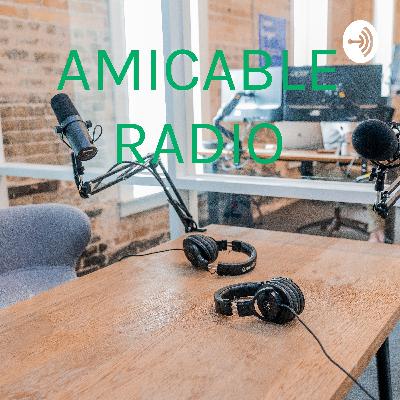 The Role of the Social Entrepreneurs The Role of the Social Entrepreneurs