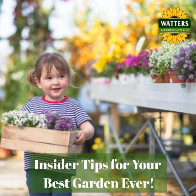🎙️Welcome to Episode 25 – 30 of The Mountain Gardener Podcast with Ken and Lisa Lain!