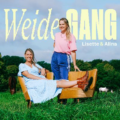 05. Gestörte Ausritterlebnisse deluxe