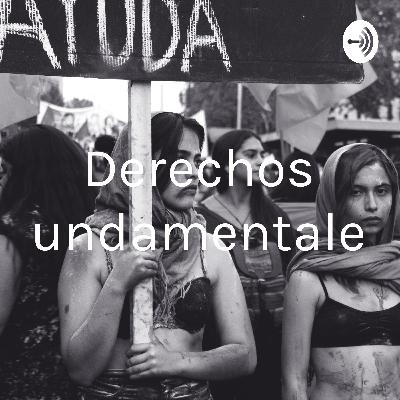 Derechos Fundamentales