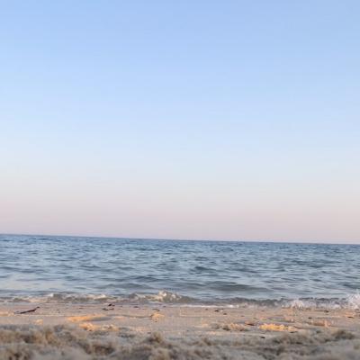 انما الحياة حرب ام حب؟