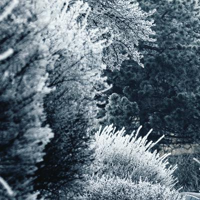 8. Rauhnacht: August 8. Rauhnacht: August