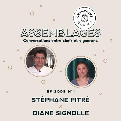 ASSEMBLAGES #1 : Stéphane Pitré & Diane Signolle
