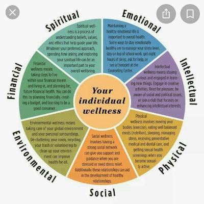 Wellness WednesDAZE Episode 2 Wellness WednesDAZE Episode 2