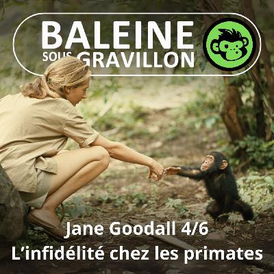 S07E24 Jane Goodall 4/6 : De l'infidélité chez les primates (Emmanuelle Grundmann)