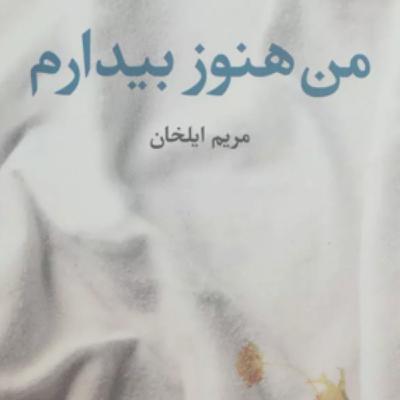 پاسارگاد، نوشته‌ی مریم ایلخان