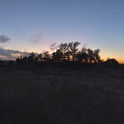 The right to heal. My Farm.