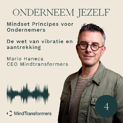 S5 - Mindset Principe #4 - De wet van vibratie en aantrekking