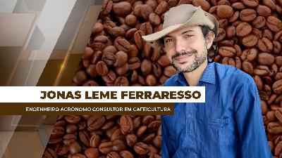 Clima adverso já prejudicou parte do potencial produtivo da safra/26 de café no Brasil