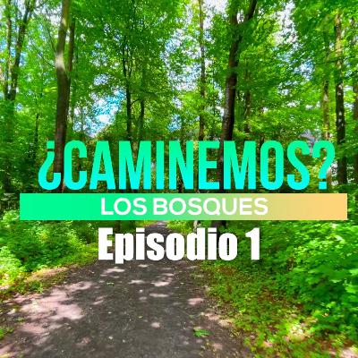 🌲 ¿Caminemos? | LOS BOSQUES - Mister Roka #misterroka #podcastcaminando #alemania