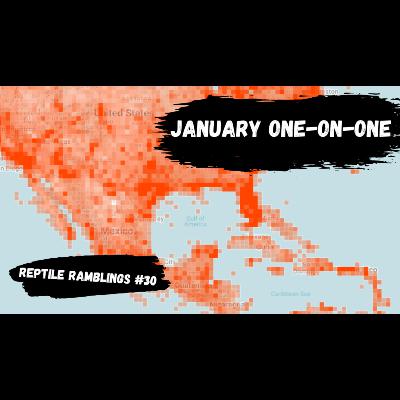 January One-on-One | Reptile Ramblings #30 January One-on-One | Reptile Ramblings #30