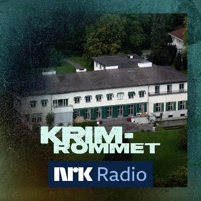 Høiby: Uenighet om natten på Skaugum (3)