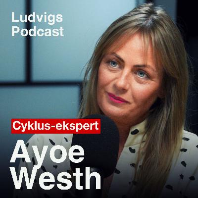 Cyklus-eksperten: Den skjulte viden om kvinders hormoner | Ayoe Westh | 250
