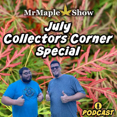 July Collectors Corner Special With Bryan And Corbin | MrMaple Show Podcast