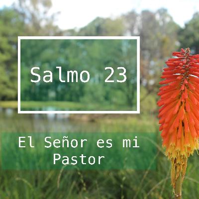 El Valle de sombra de muerte (Salmo 23:3-4)