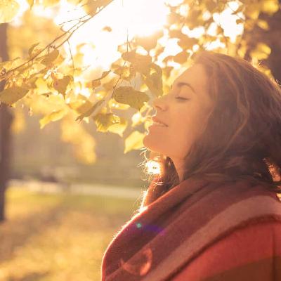 Guided Meditation: Feeling breathing and resting in being