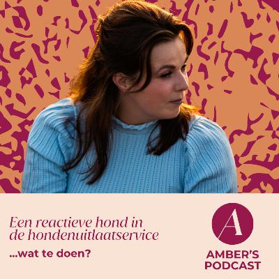 Wat te doen met een reactieve hond in de hondenuitlaatservice? #158 Wat te doen met een reactieve hond in de hondenuitlaatservice? #158