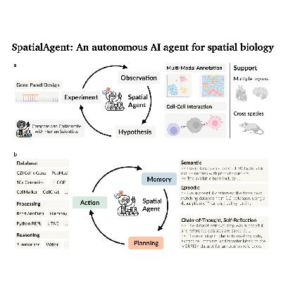 554-SpatialAgent：空间生物学自主人工智能智能体