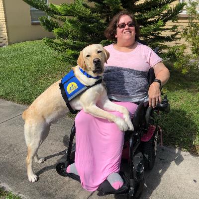 What is a service dog? PT 2 TOP NOTCH DOG