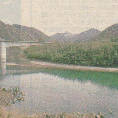 【第四十九考】竹を知る