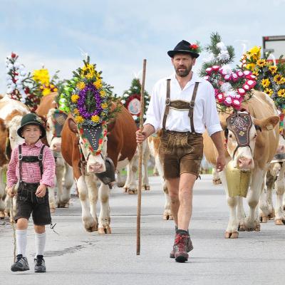 The Real Tragedy of the Commons - Carlos Perona Calvete