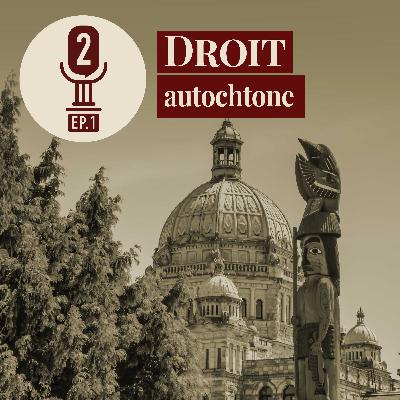 Droit des peuples autochtones (autonomie gouvernementale) Droit des peuples autochtones (autonomie gouvernementale)