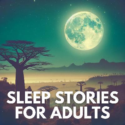 Madagascar's Enchanted Night • Sleep Stories for Adults