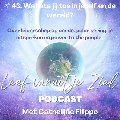 # 43. Wat sta jij toe in jezelf en de wereld?
