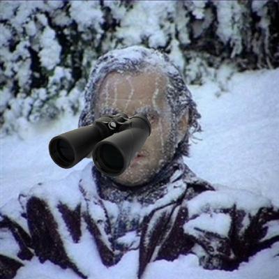 Unforgettable birding during the COLDEST WEEK of winter!