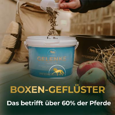 (Alb)traum Bewegungsapparat: Über 60% der Pferde sind davon betroffen