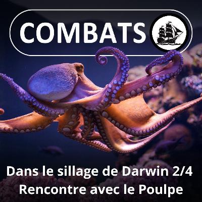 SPÉCIAL Darwin : Le même voyage que lui ... 2 siècles plus tard 2/4