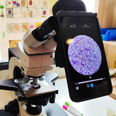 La Ciencia | La IA podría diagnosticar mejor que un médico