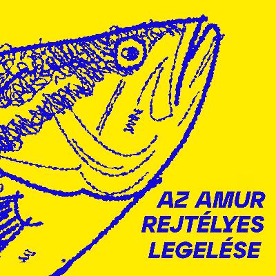 S02E00 – Létezik-e még az amerikai álom? – avagy egy friss diplomás kalandjai az USA-ban // Vendég: Majláth Ákos