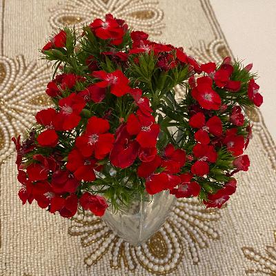 Discerning and Sorting Ideas Discerning and Sorting Ideas