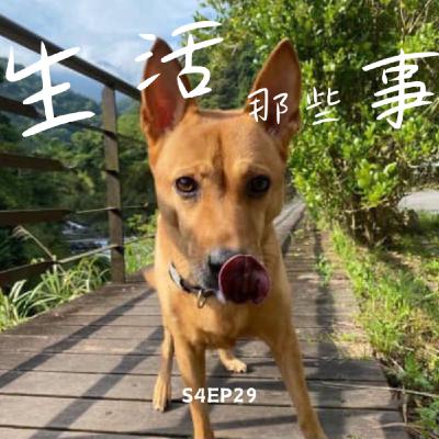 S4EP29 突如其來的離世寵物溝通，原來我的Tarzan真的一直都在呢！！