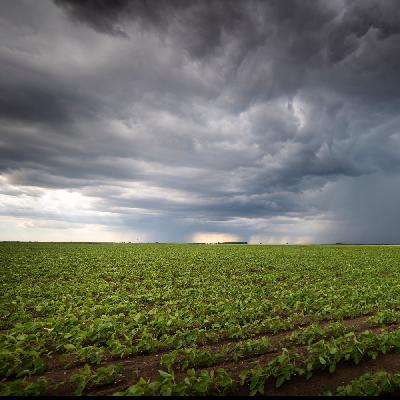 Regional Banks Caught in a Storm